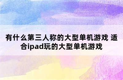 有什么第三人称的大型单机游戏 适合ipad玩的大型单机游戏